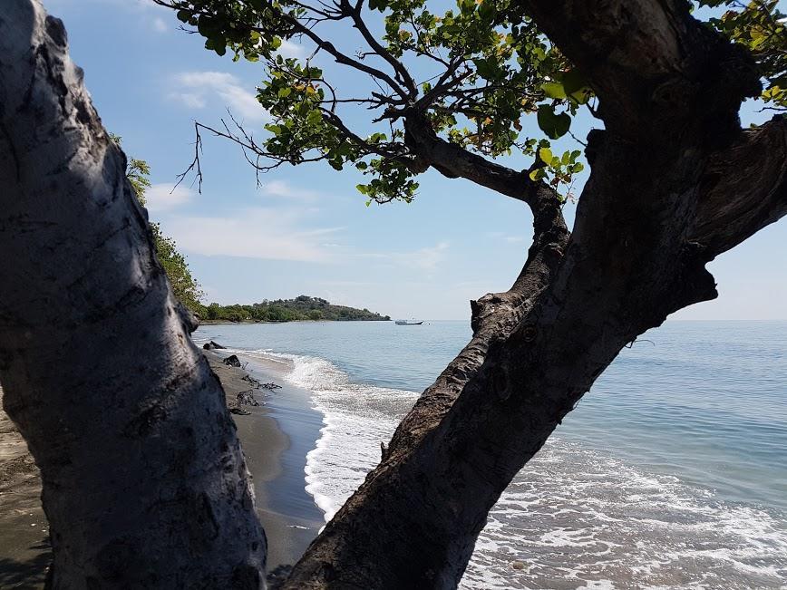 Taman Dewi Sri Villa et Bungalow Pemuteran Exteriör bild